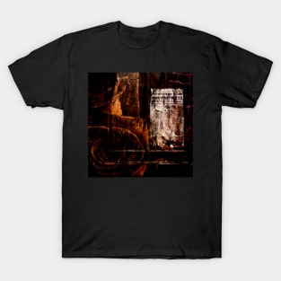 Door and roses T-Shirt